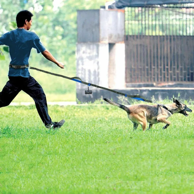 Hands-Free Jogging Leash