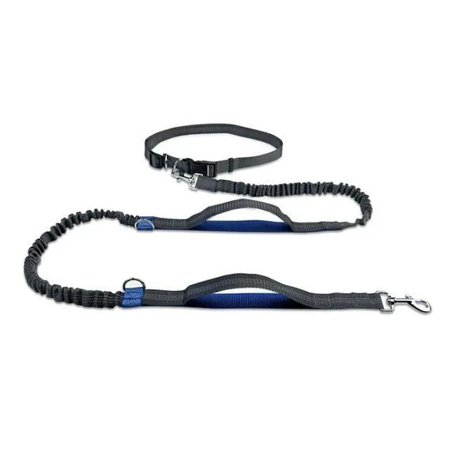 Hands-Free Jogging Leash