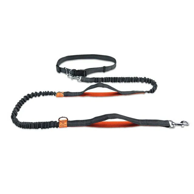 Hands-Free Jogging Leash