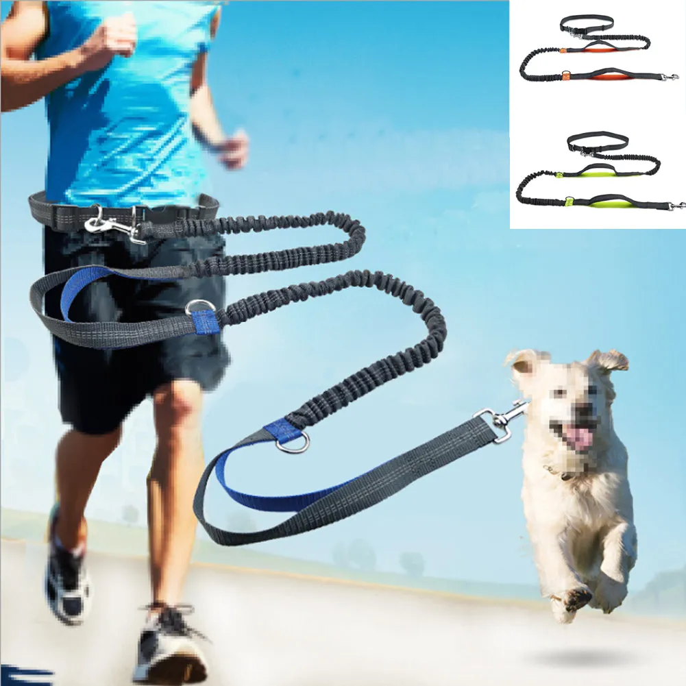 Hands-Free Jogging Leash