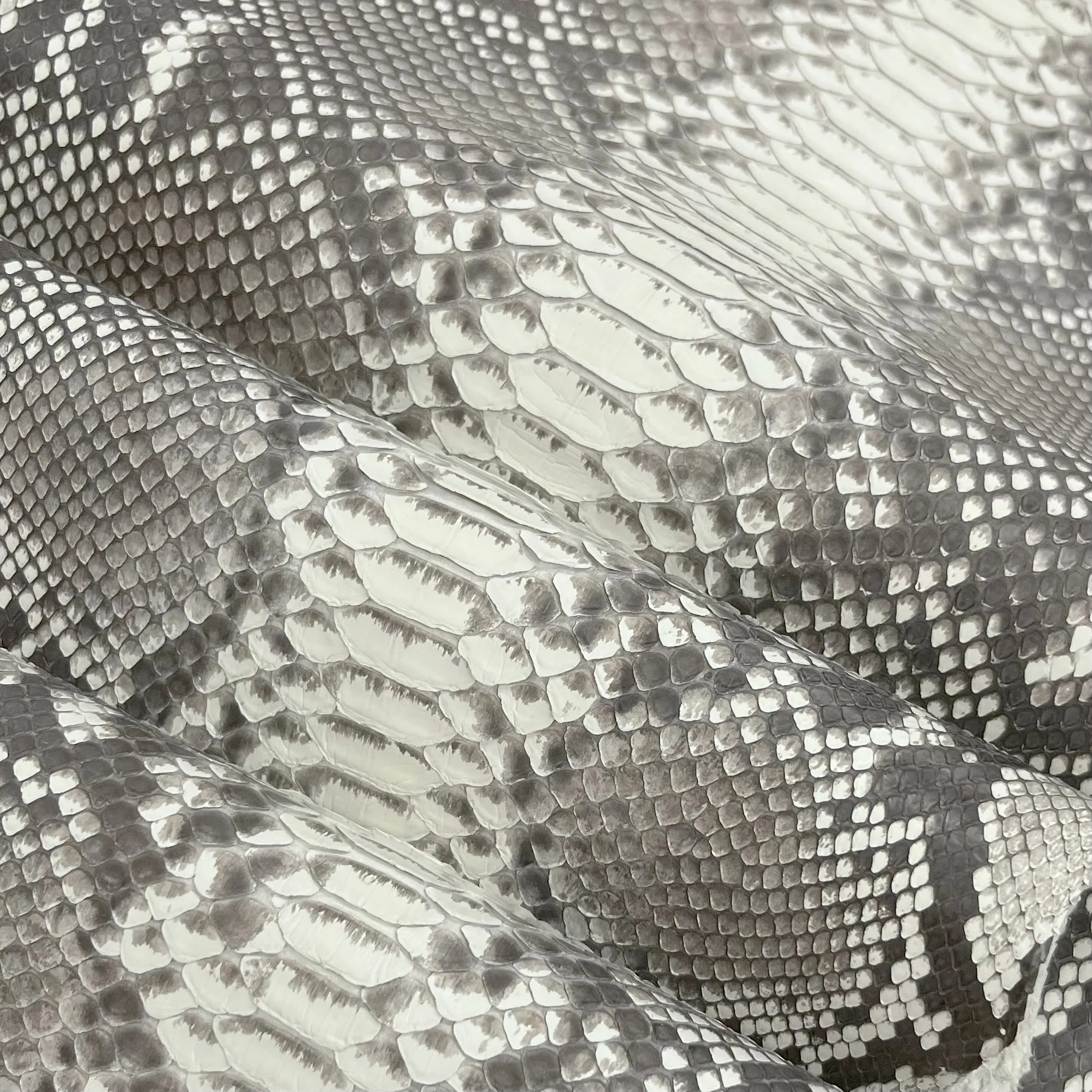 Python Matte | Natural Pattern | Long Tail Back Cut